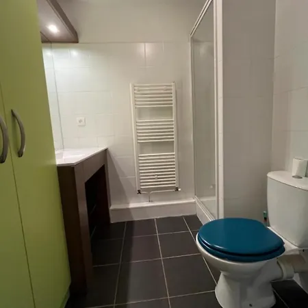 Apartman Wifi Tele Parking Prive Toulouse