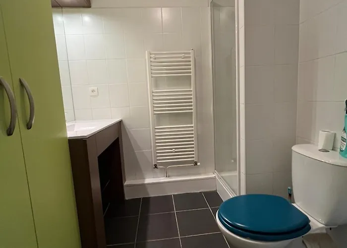 Apartman Wifi Tele Parking Prive Toulouse